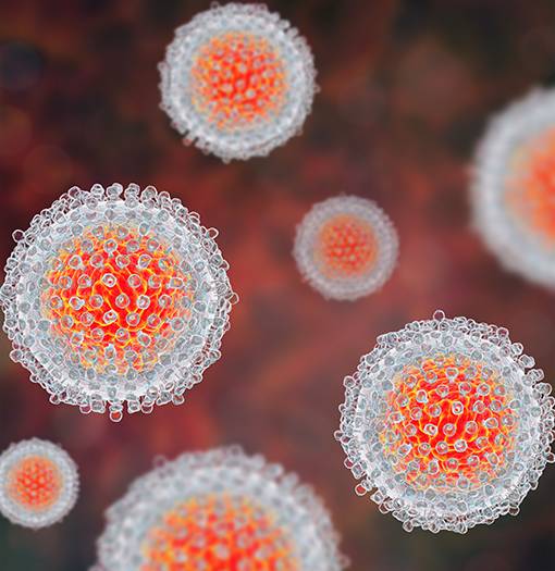 What is Hep C?