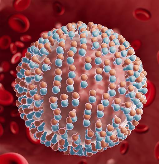 What is Hepatitis C?